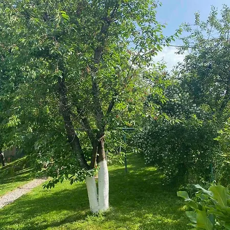 Διαμέρισμα Anni *
